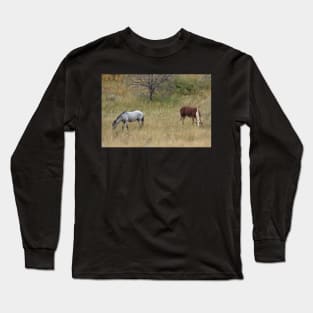 Two Wild Bachelor Stallions Long Sleeve T-Shirt